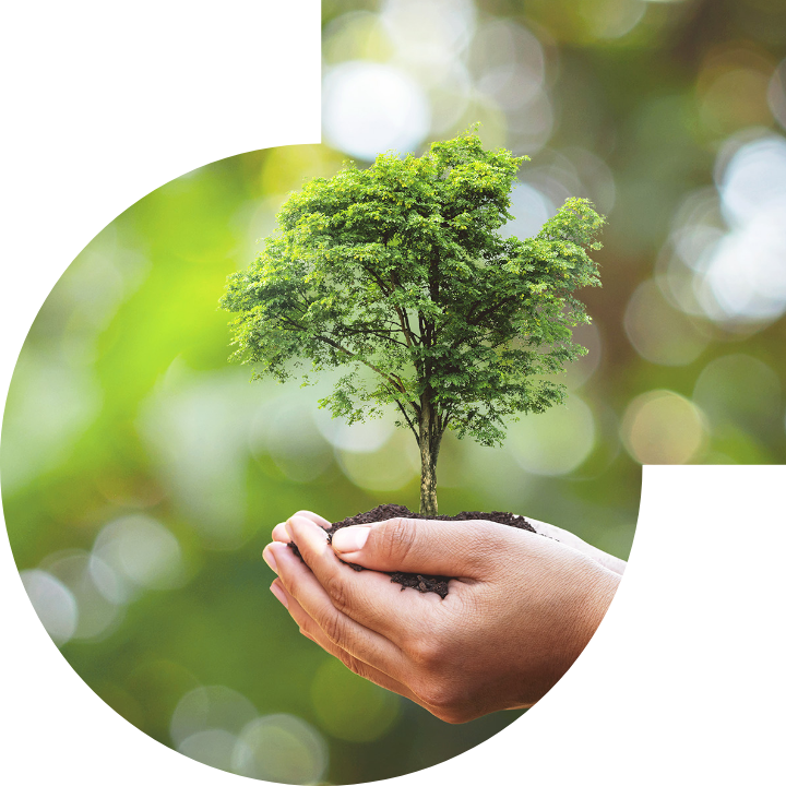 關懷人類、文化、環境與社會